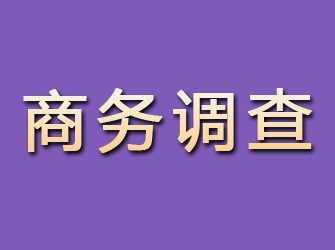 云安商务调查