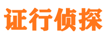 云安市私家侦探